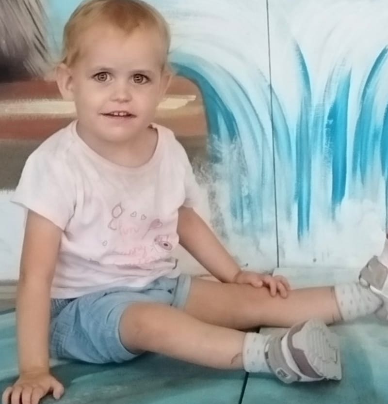 Lija — mali borec, ki je pisal Božičku