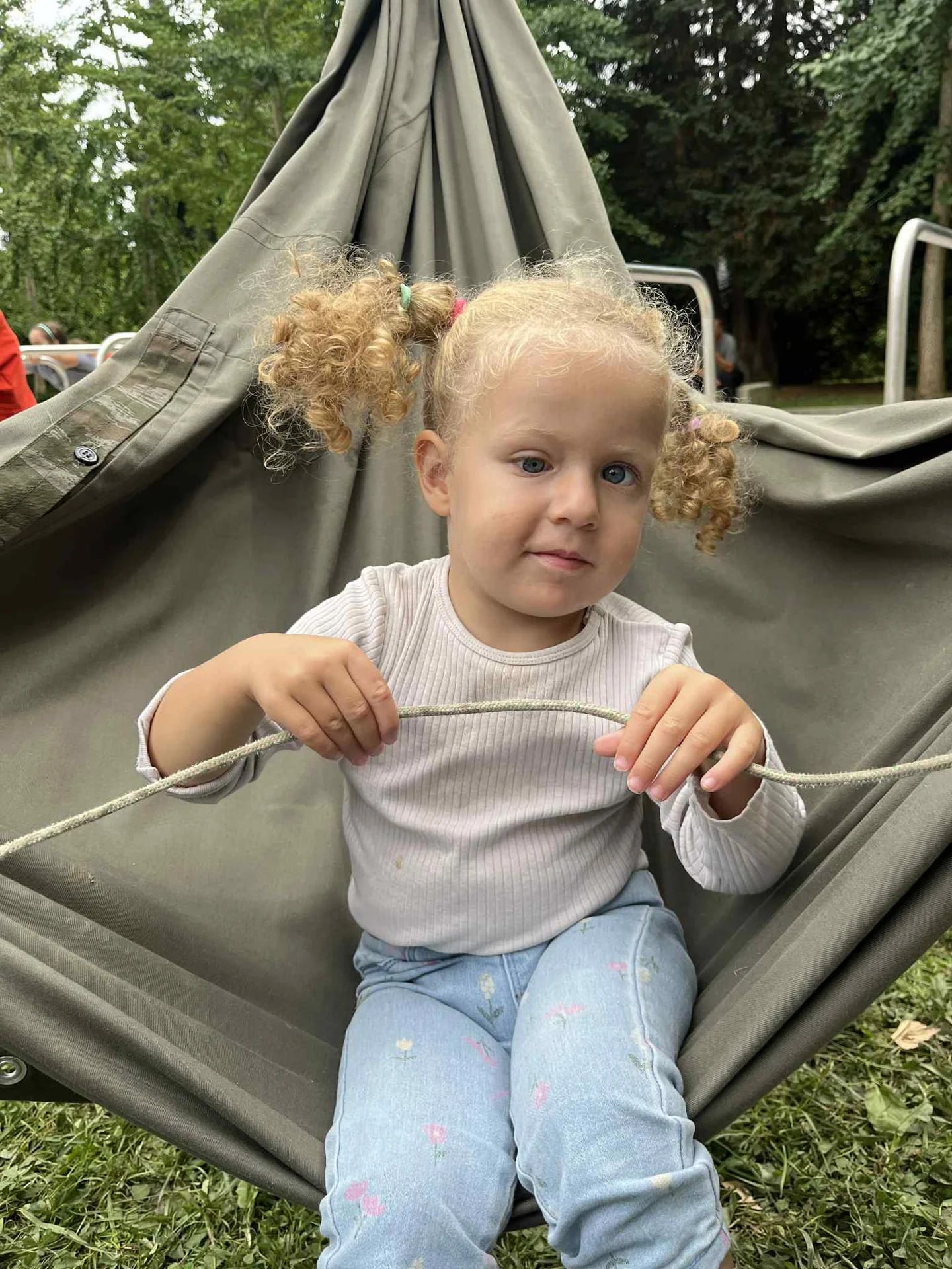 Ajda — zbiralna akcija