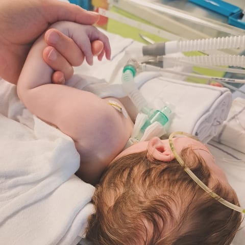 Eva, 6 mesecev