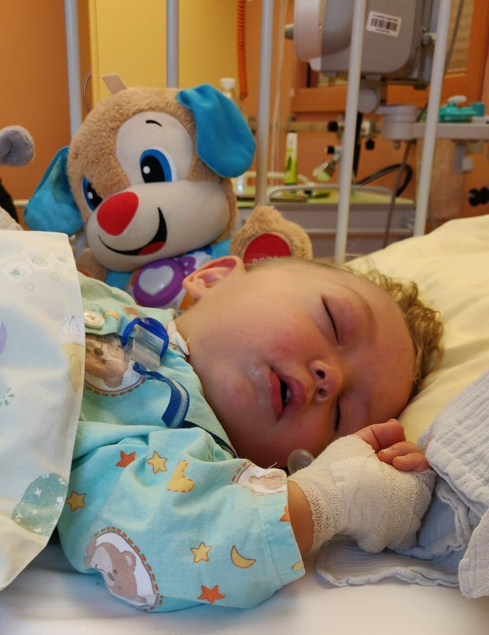 Luka, mali borec Društva Viljem Julijan