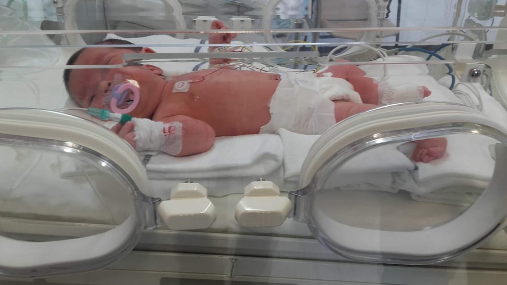 Maja, mala borka Društva Viljem Julijan