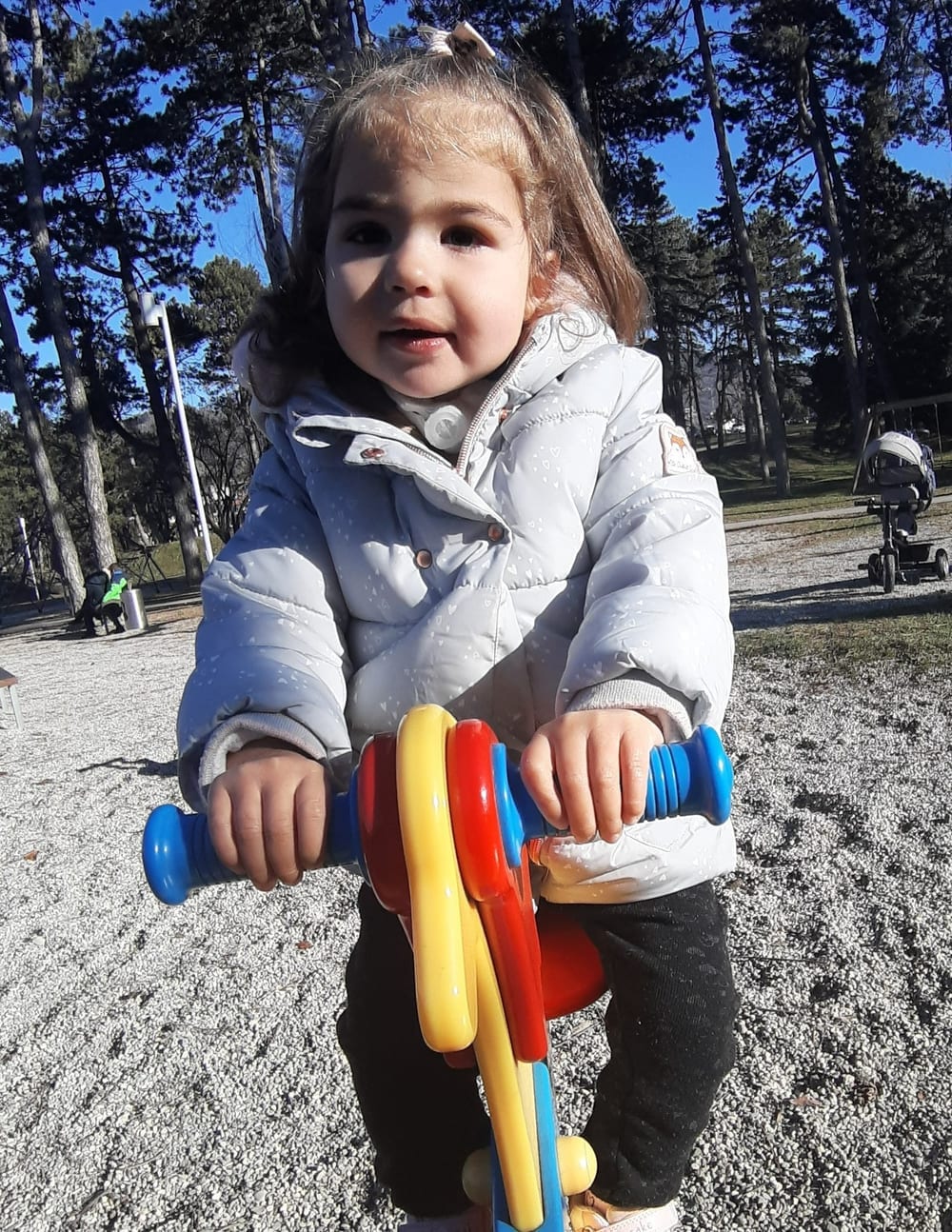 Nikolina, mala borka Društva Viljem Julijan