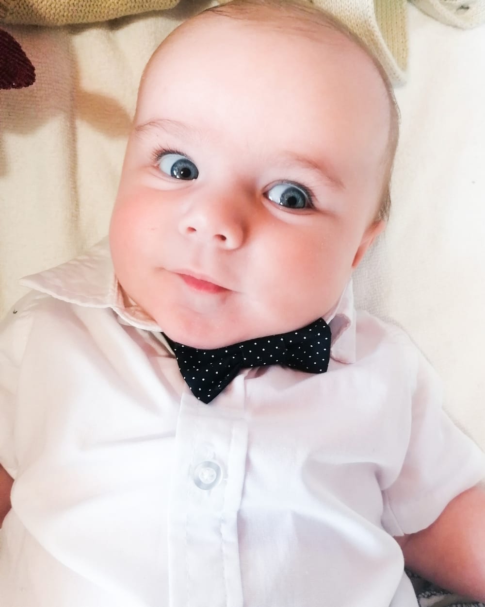 Oskar, mali borec Društva Viljem Julijan