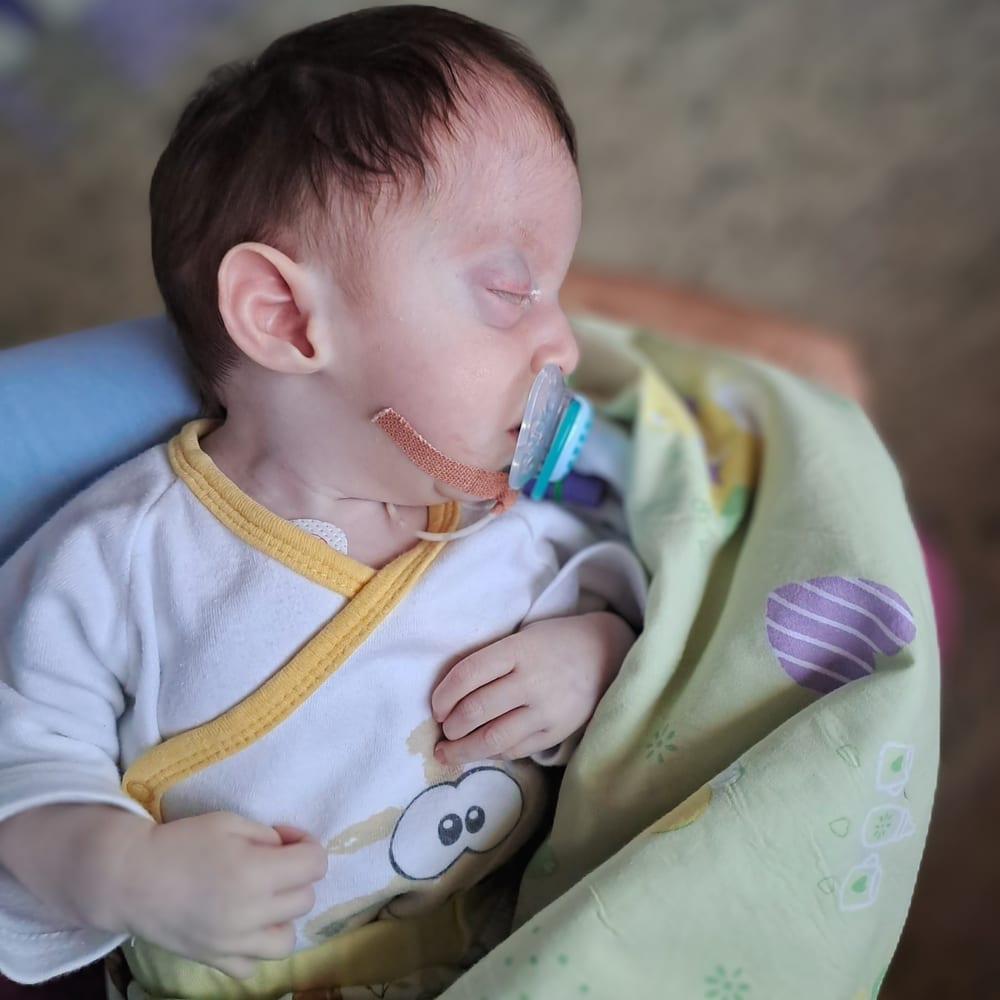 Vita Nia, mala borka Društva Viljem Julijan